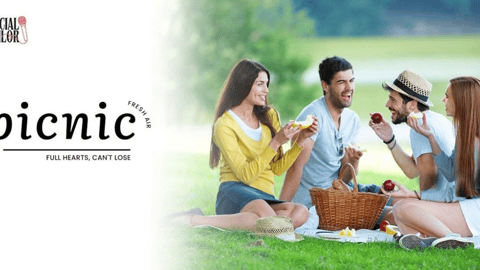 Picnic