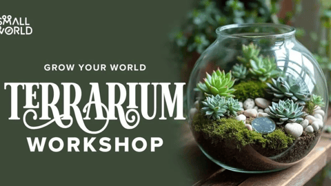 DIY Terrarium Workshop