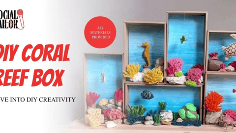 DIY Coral Reef