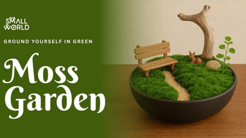Moss Garden