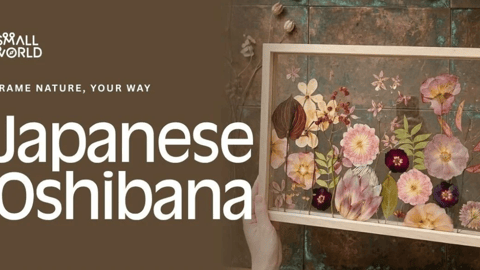 Japanese Oshibana