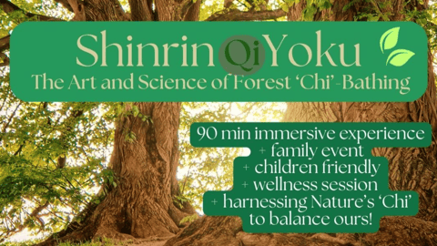 Shinrin - Yoku: The Art of Forest 'Chi' Bathing