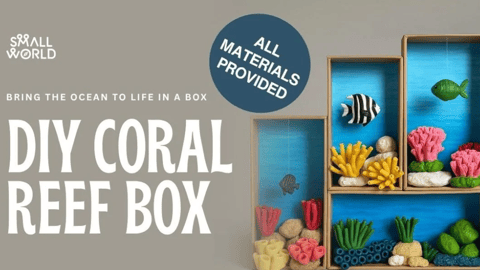 DIY Coral Reef Box