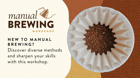 Manual Brewing Fundamentals