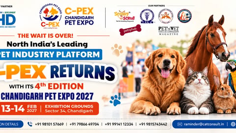 C-Pex Returns