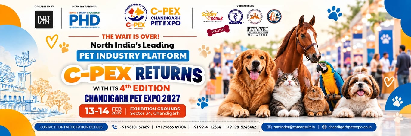 C-Pex Returns