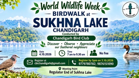 World Wildlife Week Birdwalk